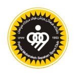 آژانس تبلیغاتی هدف باشگاه سپاهان